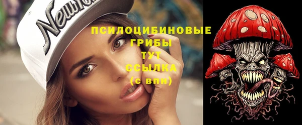 хмурый Алексеевка