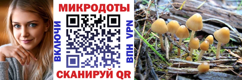 Галлюциногенные грибы Cubensis  KRAKEN сайт  Дюртюли  закладка 